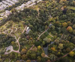 Botanical Gardens in Leith (credit Clement Proust / Pexels)